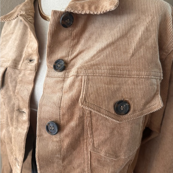 Corduroy short button down jacket - Picture 6 of 7